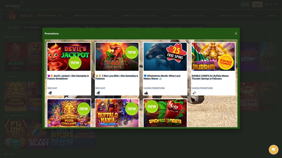 Application - Springbok Casino